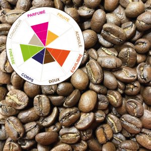 Grains de café pur arabica du Costa Rica