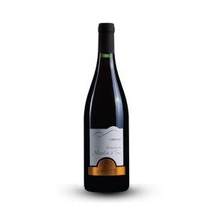 Vin rouge de Loire appellation Chinon Cuvée L'Origine du Domaine du Moulin à Tan