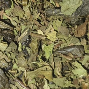 Thé des Oasis, un thé vert Gunpowder avec des feuilles de menthe Nanah
