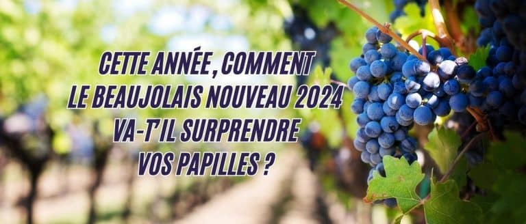 Cette année, comment le Beaujolais Nouveau 2024 va-t’il surprendre vos papilles ?