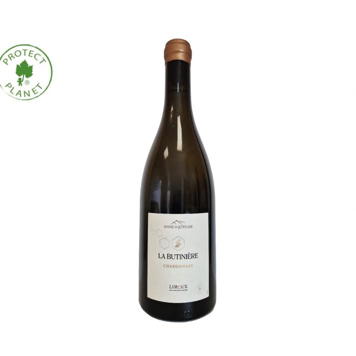 Un Chardonnay frais et expressif, mêlant élégance, fruité et minéralité, issu des meilleures parcelles du terroir de Limoux.