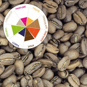 Saint-Domingue Barahona AA, un café typique des Caraïbes, à la fois doux et corsé, bien équilibré avec un arôme chocolaté !